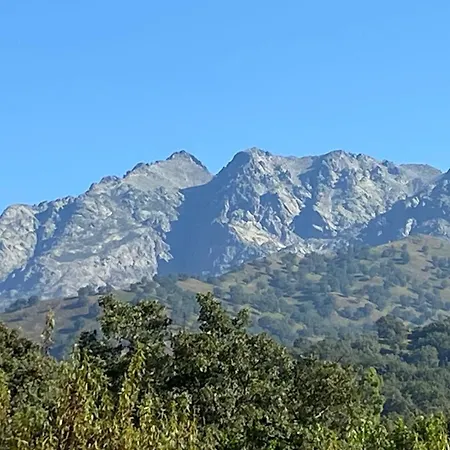 Lavandas